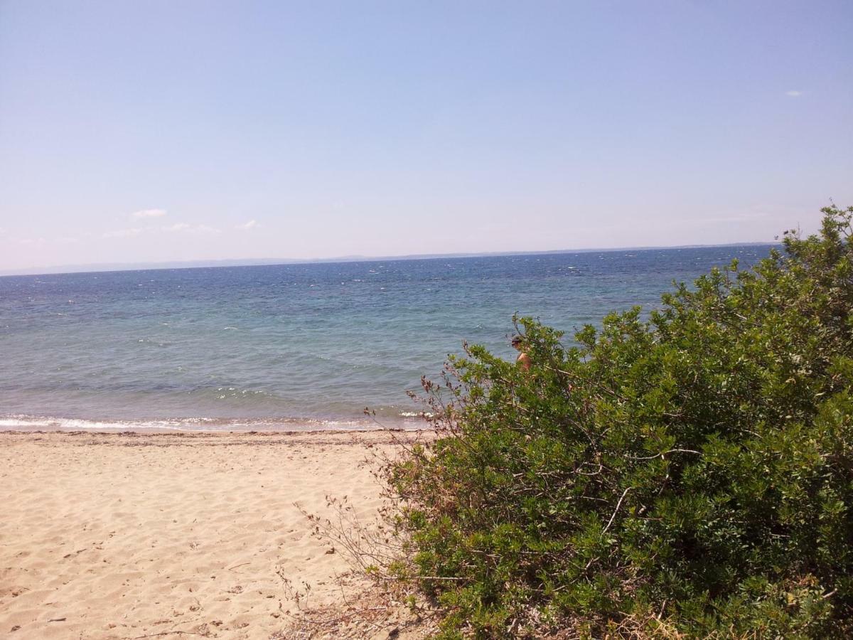 Afroditi Beach Геракини Екстериор снимка